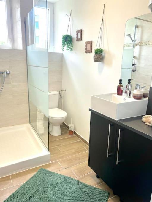 Logement Cosy Et Jardin Saint-Laurent-en-Royans Esterno foto